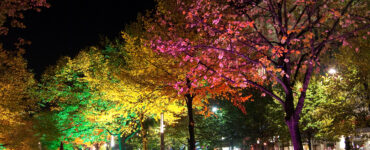 Hotel unter den Linden in Berlin